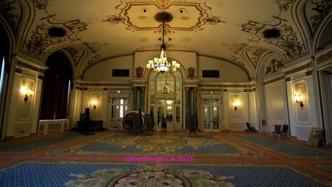 *Magnificent* - MAR 2025 - IMG_3231.JPG