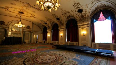 *Magnificent* - MAR 2025 - IMG_3232.JPG