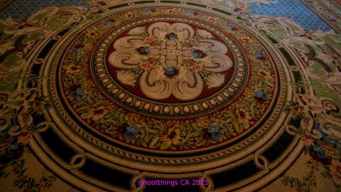 *Magnificent* - MAR 2025 - IMG_3233.JPG