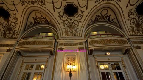 *Magnificent* - MAR 2025 - IMG_3234.JPG