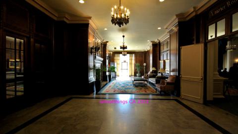 *Magnificent* - MAR 2025 - IMG_3235.JPG