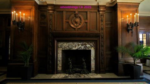 *Magnificent* - MAR 2025 - IMG_3236.JPG