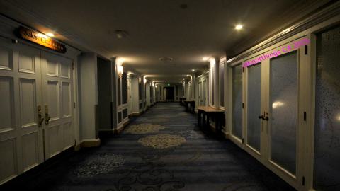 *Magnificent* - MAR 2025 - IMG_3237.JPG