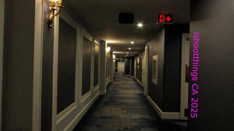 *Magnificent* - MAR 2025 - IMG_3238.JPG