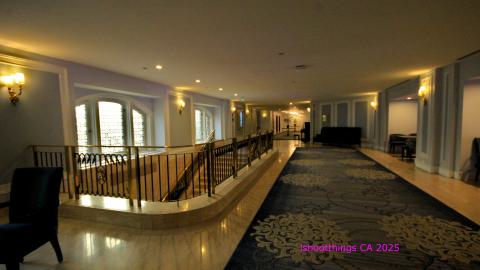 *Magnificent* - MAR 2025 - IMG_3239.JPG