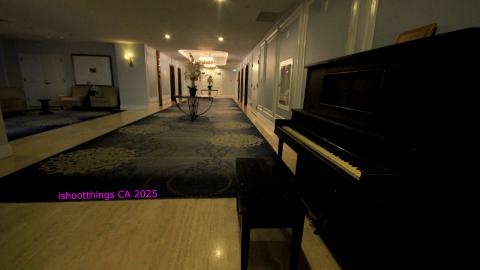 *Magnificent* - MAR 2025 - IMG_3241.JPG