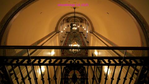 *Magnificent* - MAR 2025 - IMG_3242.JPG