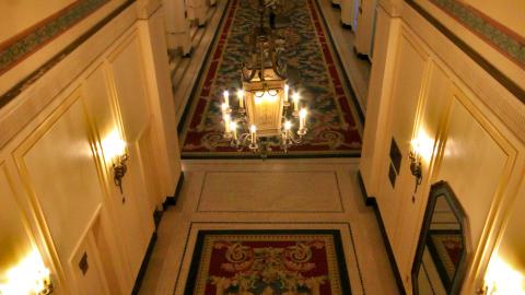 *Magnificent* - MAR 2025 - IMG_3243.JPG