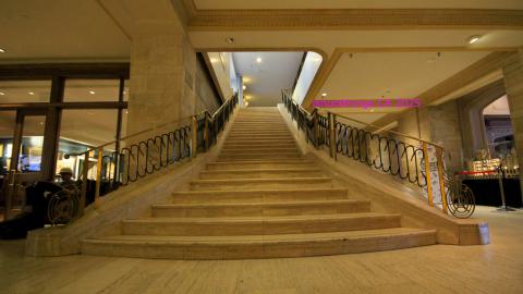 *Magnificent* - MAR 2025 - IMG_3245.JPG