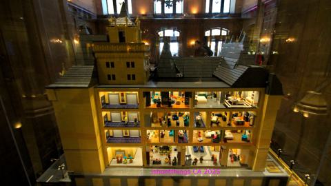 *Magnificent* - MAR 2025 - IMG_3248.JPG