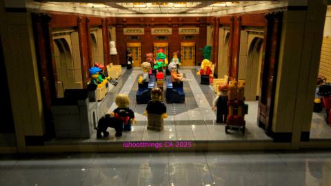 *Magnificent* - MAR 2025 - IMG_3249.JPG