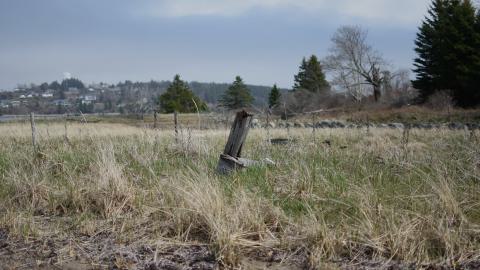 The Boathouse of Terror - ADS_3388.JPG