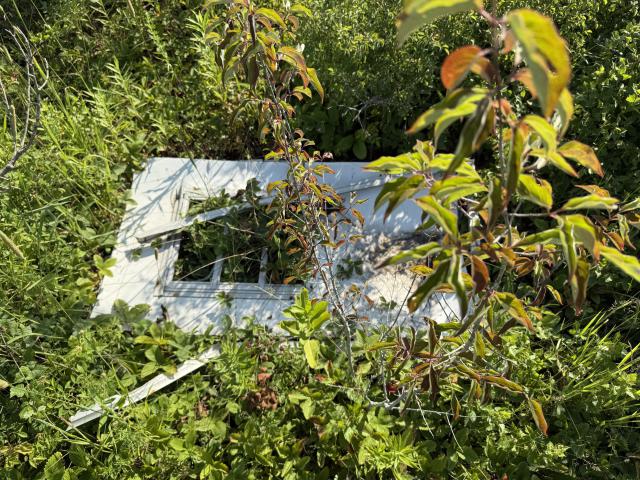 Trailer door