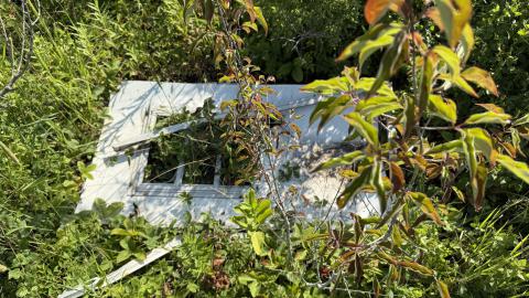 Derelict trailer - Pelee, Ontario