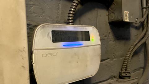 Rubber Match - IMG_8769.jpg