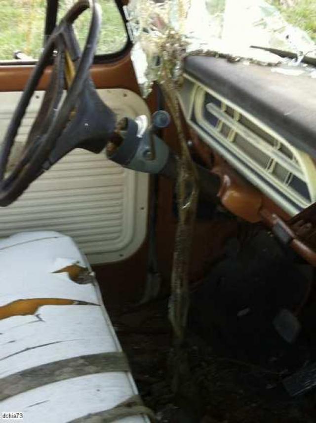 Beautiful property wayyy back photo 3