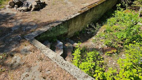 We put a pool in your lake so you can swim while you swim - 20250704_155138.jpg