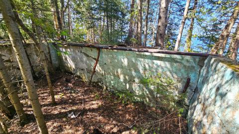 We put a pool in your lake so you can swim while you swim - 20250704_155205.jpg