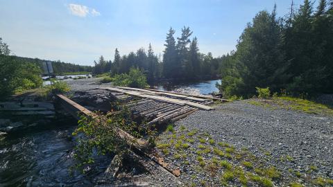 Paint By Ancient Hands - 20250704_173401.jpg