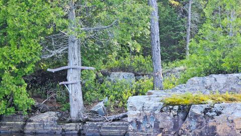 Paint By Ancient Hands - 20250704_174844.jpg