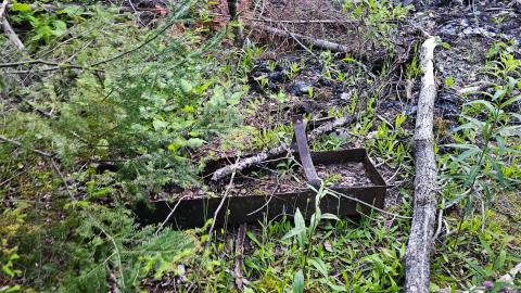 It's the only one they call Bidgood - 20250704_212109.jpg