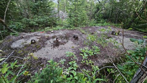 It's the only one they call Bidgood - 20250704_212220.jpg