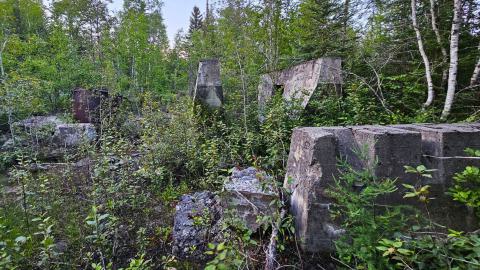 It's the only one they call Bidgood - 20250704_212559.jpg