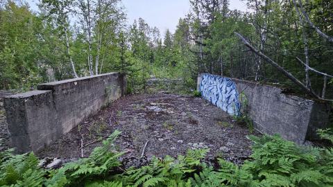 It's the only one they call Bidgood - 20250704_212818.jpg