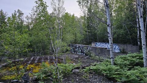 It's the only one they call Bidgood - 20250704_212847.jpg