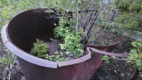 It's the only one they call Bidgood - 20250704_213034.jpg