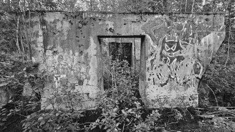 It's the only one they call Bidgood - 20250704_213059.jpg