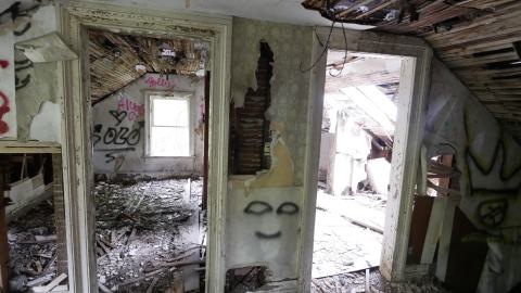 May 31, 2025 - P1220360.JPG