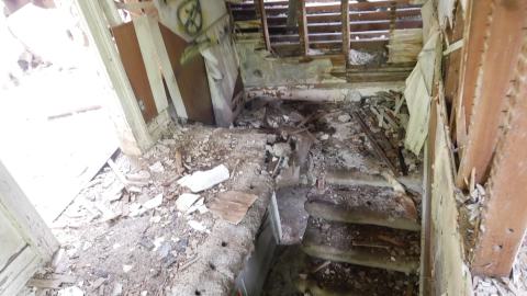 May 31, 2025 - P1220361.JPG