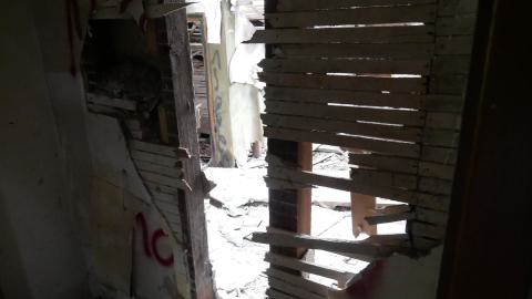 May 31, 2025 - P1220364.JPG