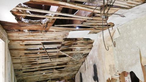 May 31, 2025 - P1220365.JPG