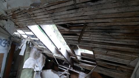 May 31, 2025 - P1220367.JPG