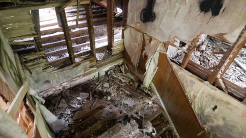 May 31, 2025 - P1220369.JPG