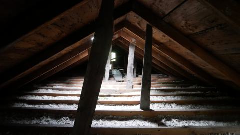 May 31, 2025 - P1220370.JPG