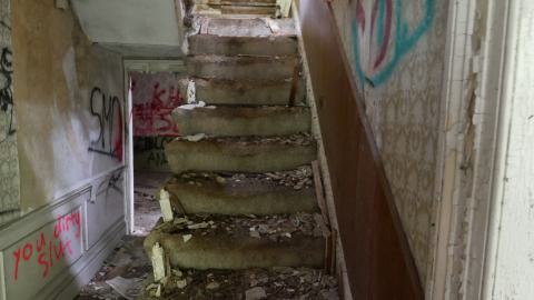 May 31, 2025 - P1220375.JPG