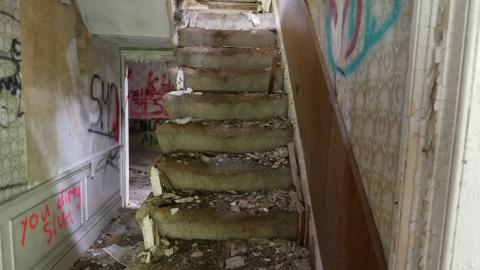 May 31, 2025 - P1220376.JPG