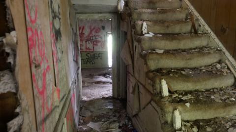 May 31, 2025 - P1220377.JPG