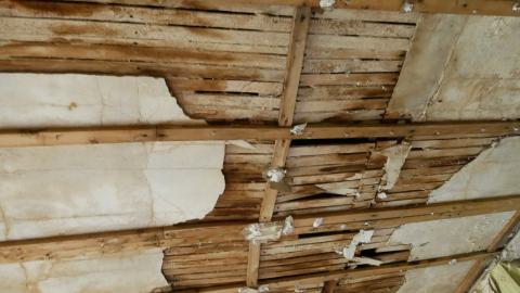 May 31, 2025 - P1220384.JPG