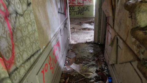 May 31, 2025 - P1220386.JPG