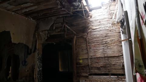 May 31, 2025 - P1220393.JPG