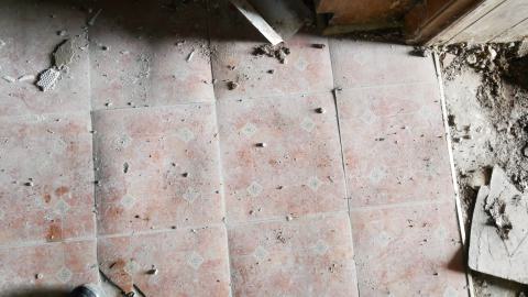 May 31, 2025 - P1220407.JPG