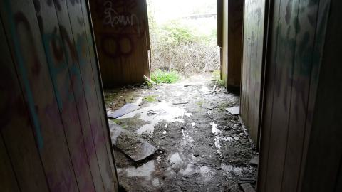 May 31, 2025 - P1220408.JPG