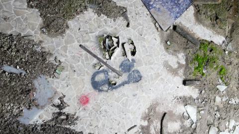 May 31, 2025 - P1220409.JPG