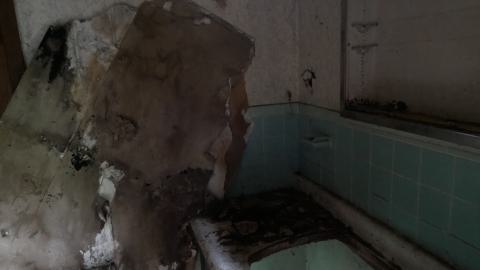 May 31, 2025 - P1220414.JPG