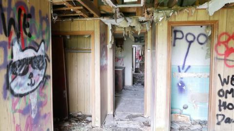 May 31, 2025 - P1220417.JPG