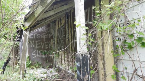 May 31, 2025 - P1220422.JPG